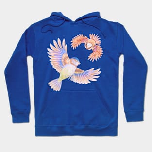 Birds Hoodie